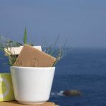 手作り石けんの危険性